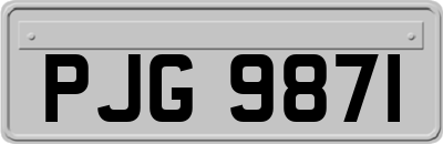 PJG9871