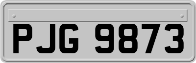PJG9873