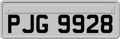 PJG9928