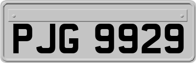 PJG9929