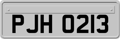 PJH0213