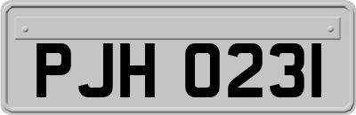 PJH0231