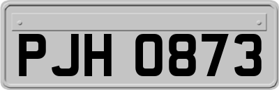 PJH0873