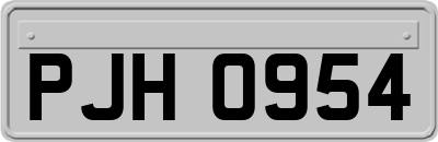 PJH0954