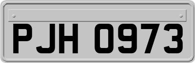 PJH0973