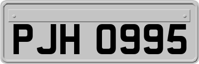 PJH0995