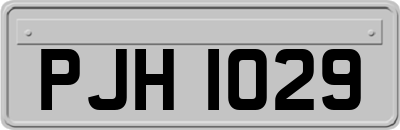 PJH1029