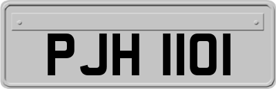 PJH1101