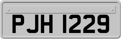 PJH1229