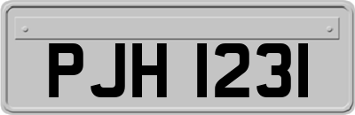 PJH1231