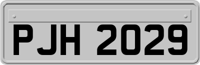 PJH2029
