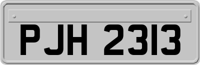 PJH2313