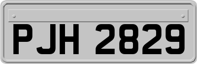 PJH2829