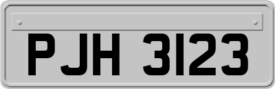 PJH3123