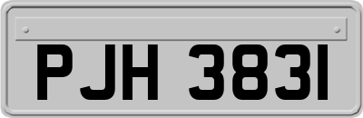 PJH3831