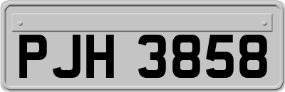 PJH3858