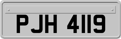 PJH4119