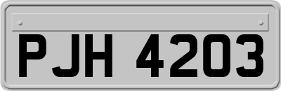 PJH4203