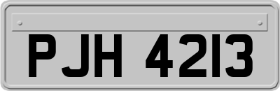 PJH4213