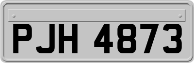PJH4873