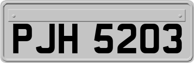 PJH5203