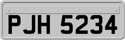PJH5234
