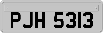 PJH5313