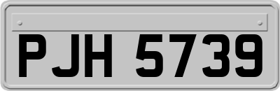 PJH5739