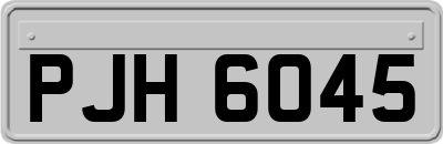 PJH6045