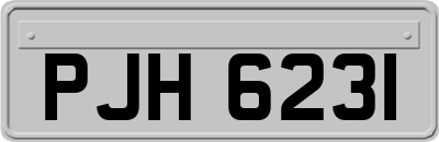 PJH6231