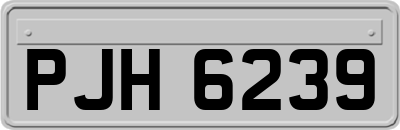 PJH6239