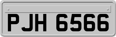 PJH6566