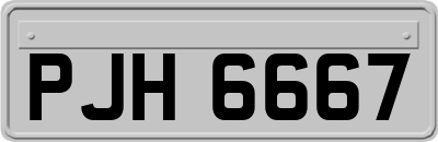 PJH6667