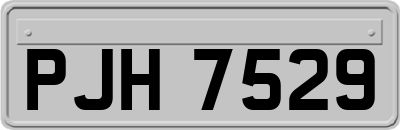 PJH7529