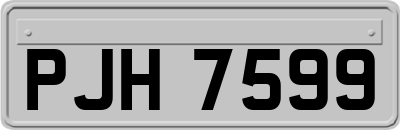 PJH7599