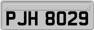 PJH8029