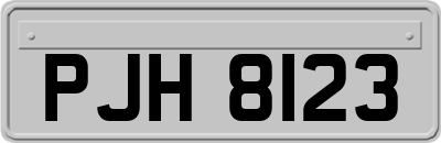PJH8123