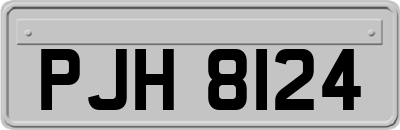 PJH8124