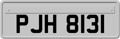 PJH8131