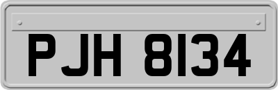PJH8134