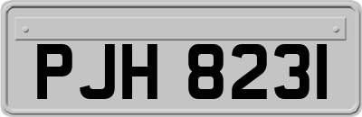 PJH8231