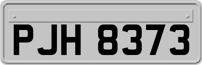 PJH8373