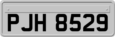 PJH8529
