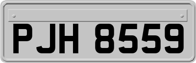 PJH8559