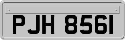 PJH8561