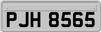 PJH8565