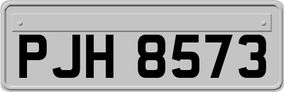 PJH8573