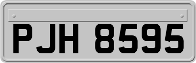 PJH8595