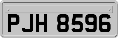 PJH8596