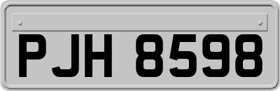 PJH8598